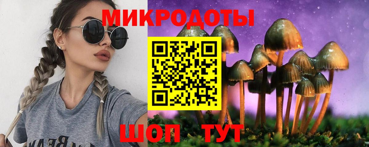 Галлюциногенные грибы ЛСД  Галлюциногенные грибы мухоморы  Электрогорск  Вход с VPN 